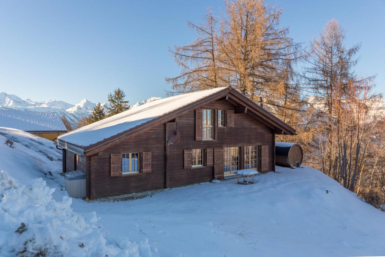 Chalet Pierre Blanche Nendaz Exteriér fotografie